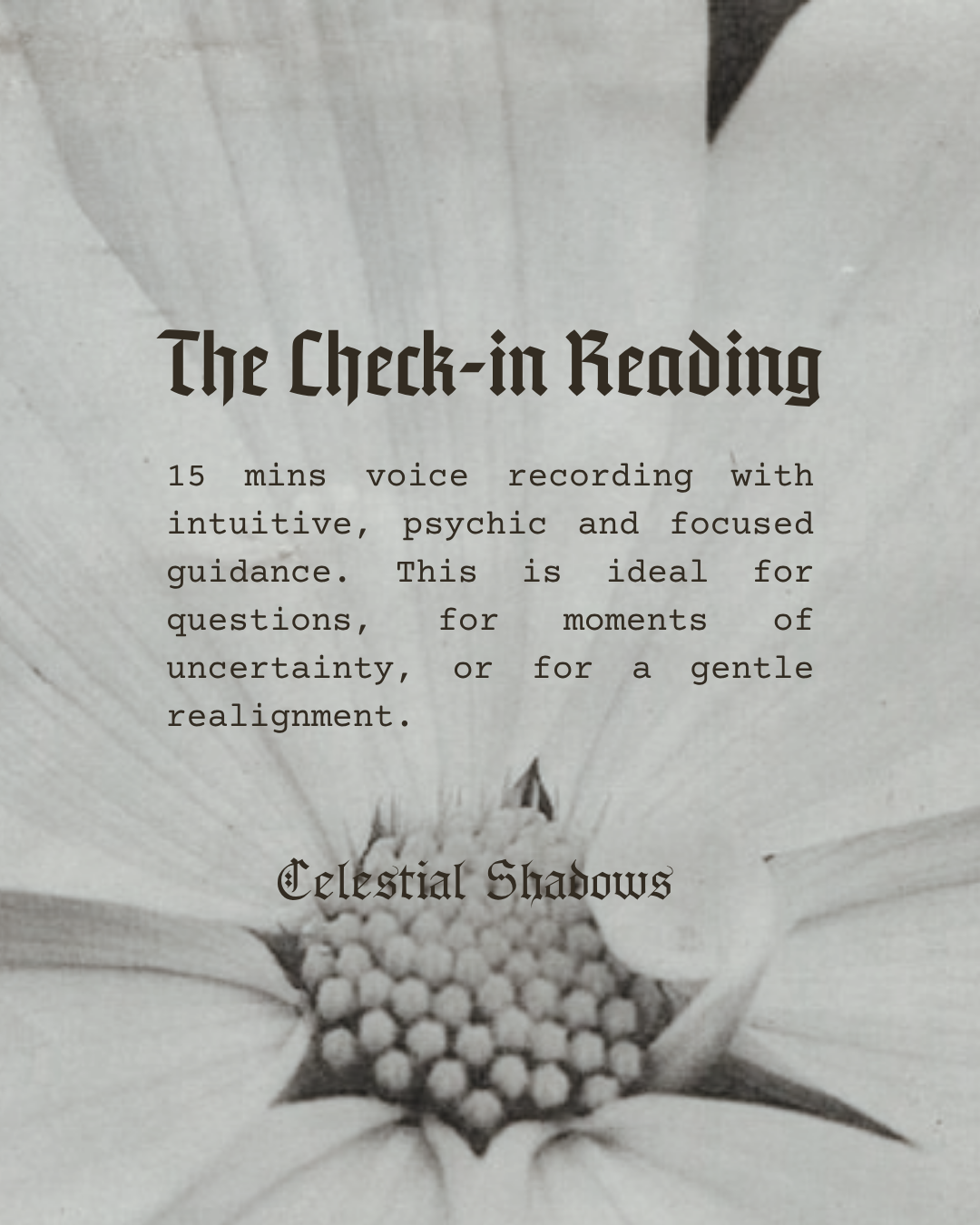 ✧ The Check In Reading ✧