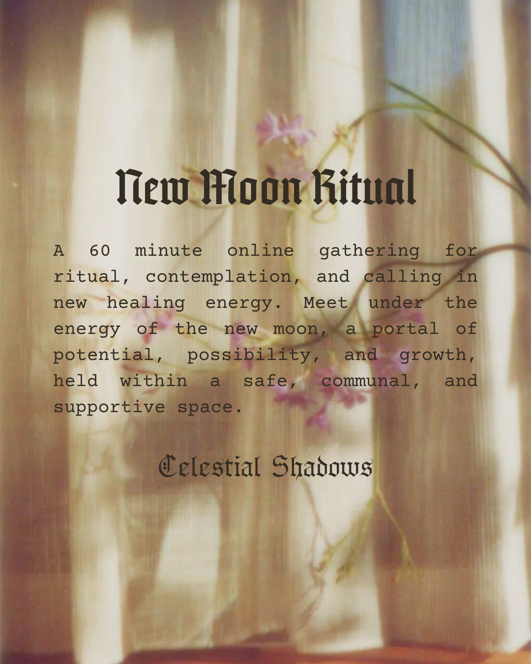 ✧ New Moon Ritual Circle ✧