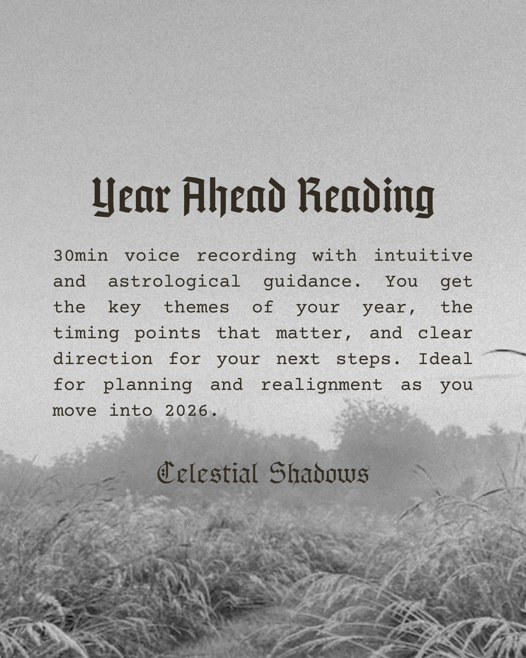 ✧ Year Ahead Reading ✧