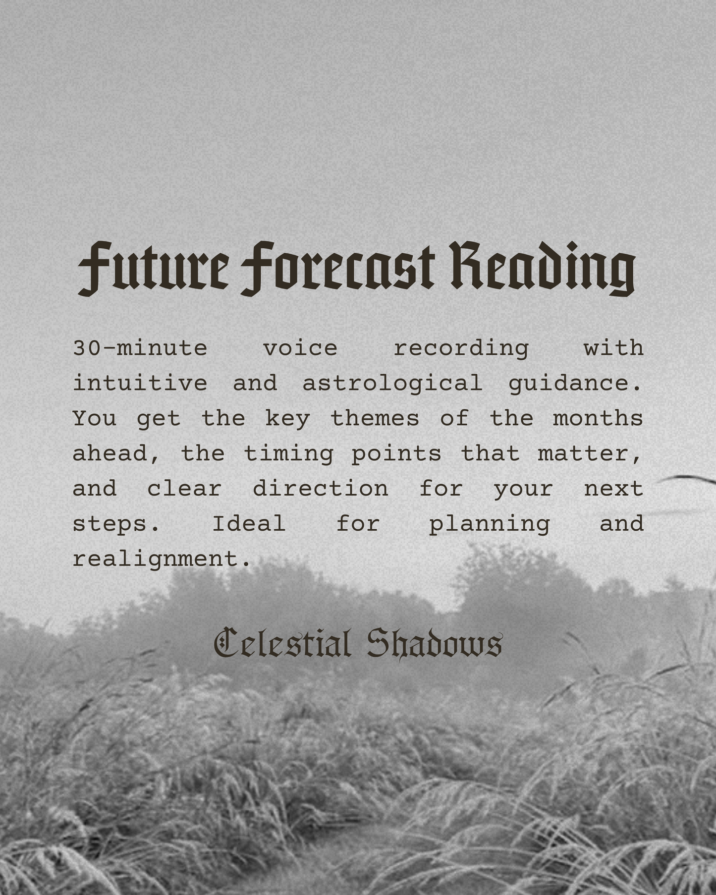 ✧ Future Forecast Reading ✧