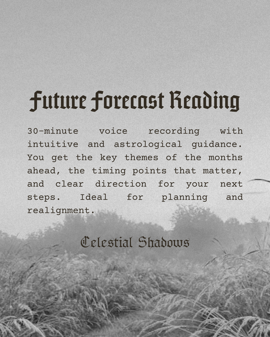 ✧ Future Forecast Reading ✧