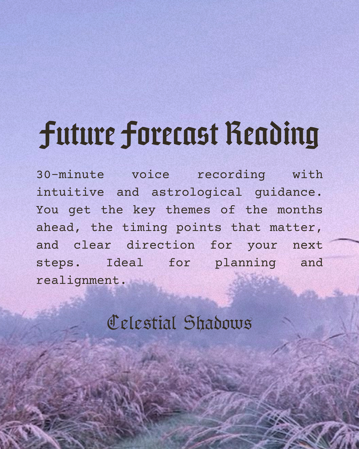 ✧ Future Forecast Reading ✧