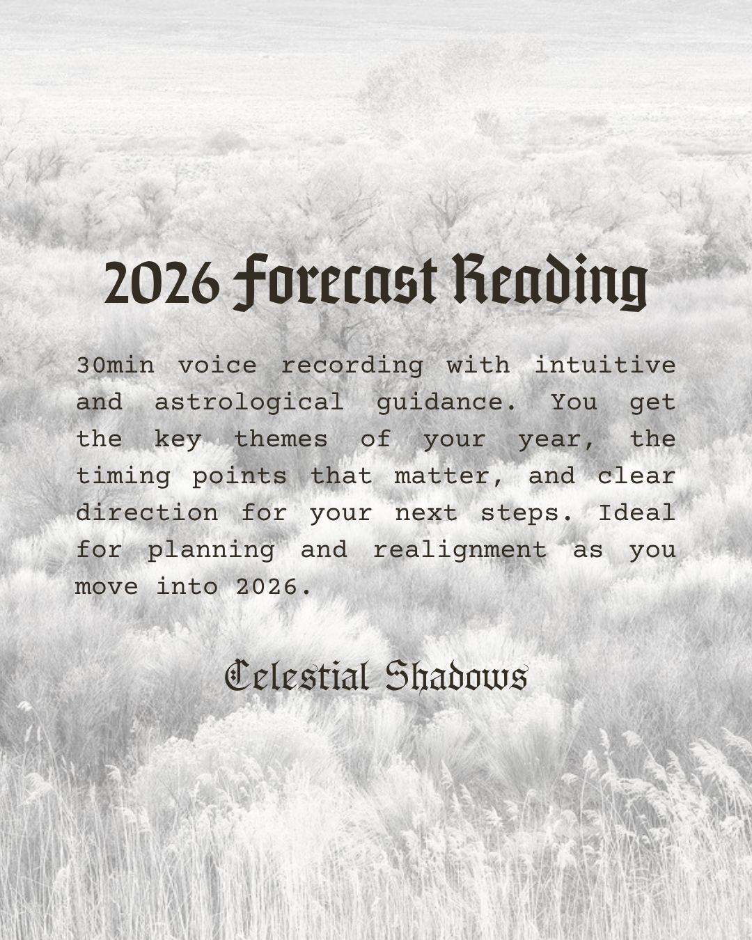 2026 Forecast Reading