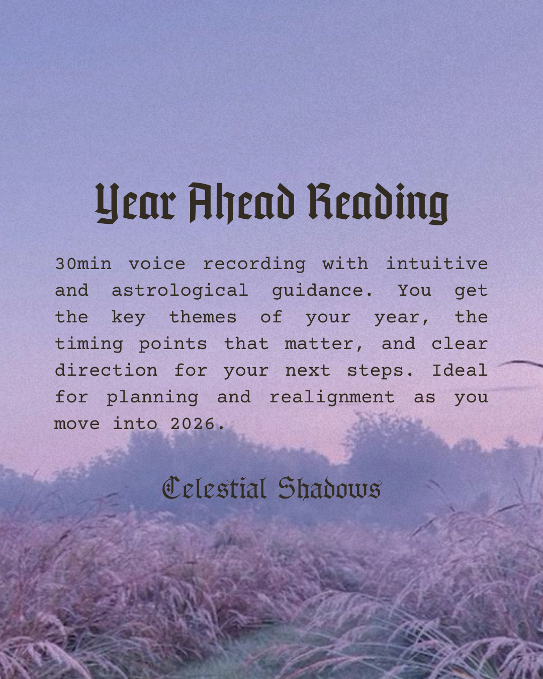 ✧ Year Ahead Reading ✧