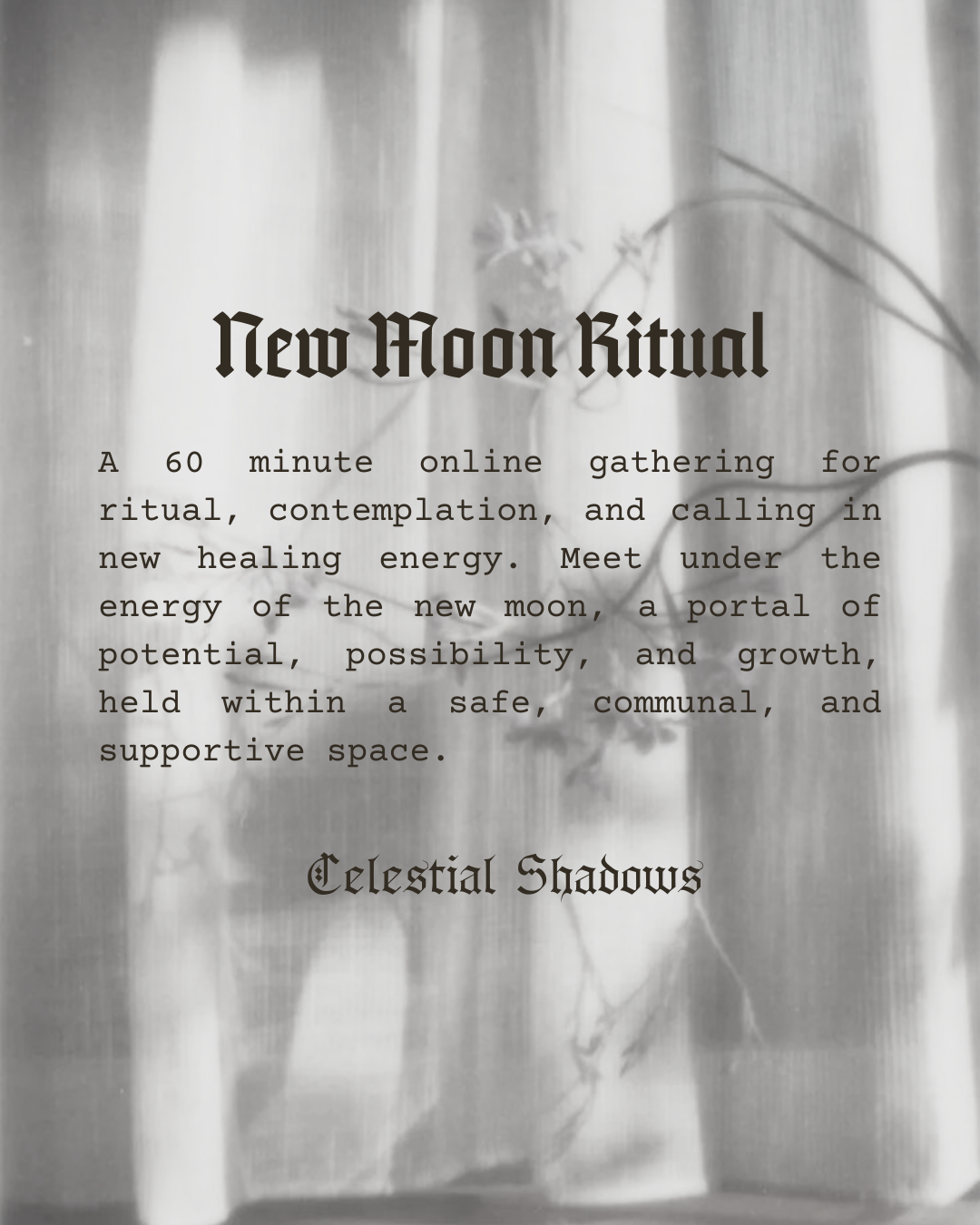 ✧ New Moon Ritual Circle ✧