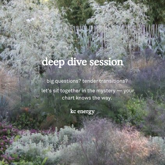 ✧ Deep Dive Session ✧
